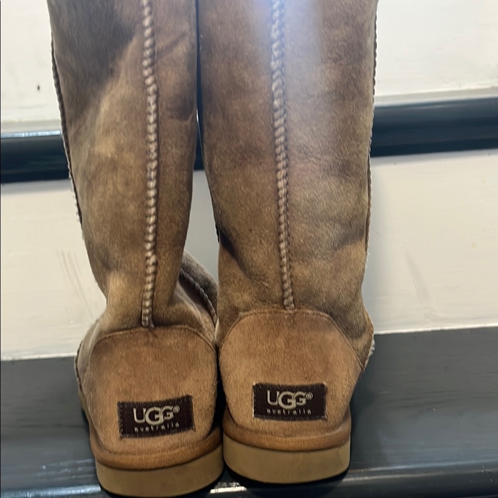 UGG Classic Tall Boots in Chestnut